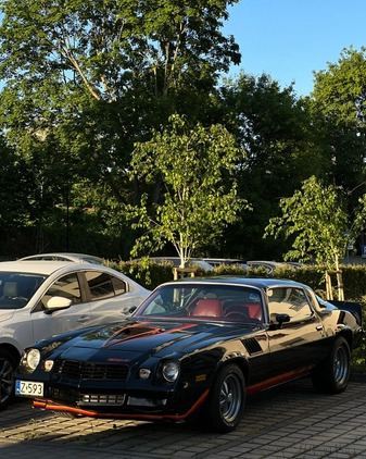 Chevrolet Camaro cena 65000 przebieg: 118000, rok produkcji 1979 z Szczecin małe 191